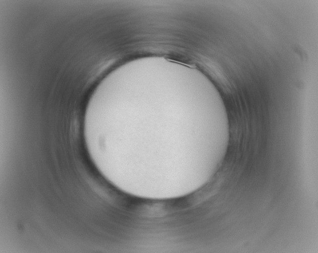 X0000115040120200911231140