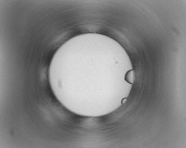 X0000115040122200911231140