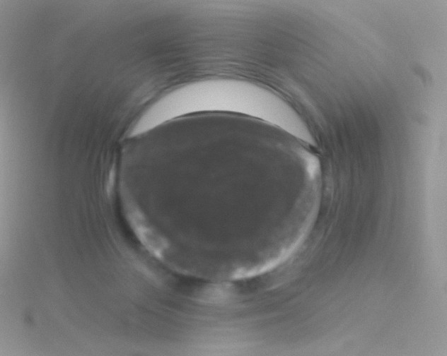 X0000115040124200911231140