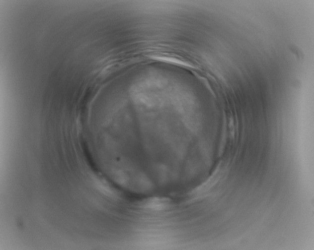 X0000115040128200911231140