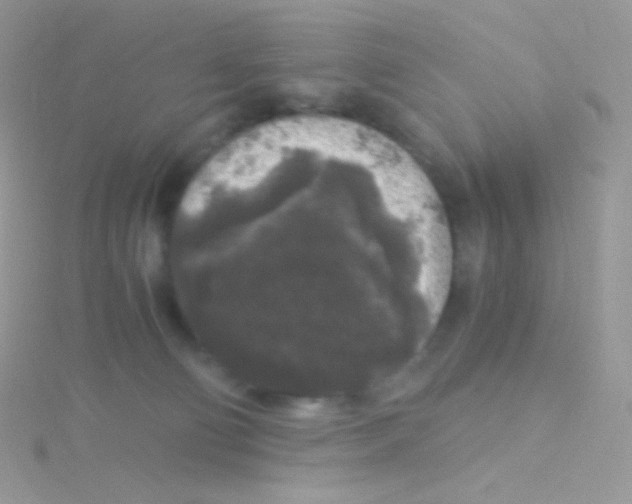 X0000115040130200911231140