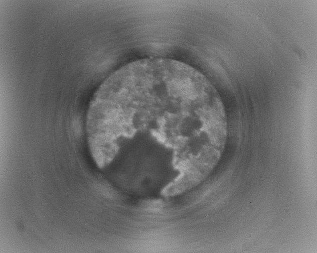 X0000115040131200911231140