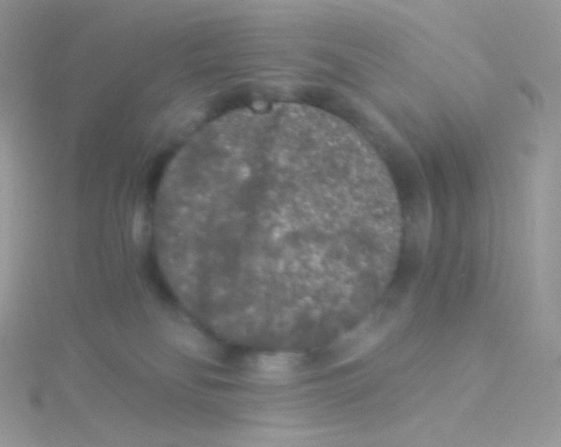 X0000115040134200911231140