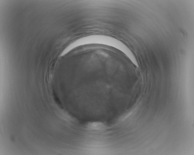 X0000115040137200911231140