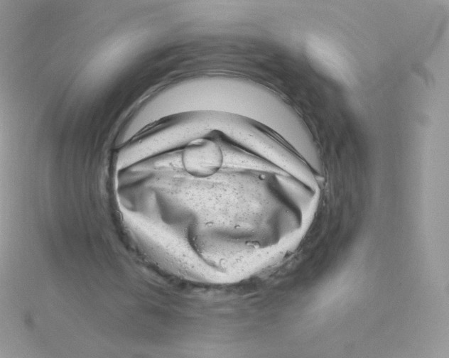 X0000115040146200911231139