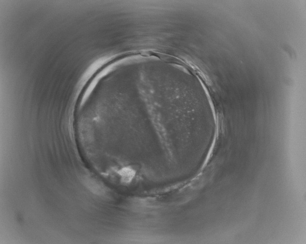 X0000115040147200911231139