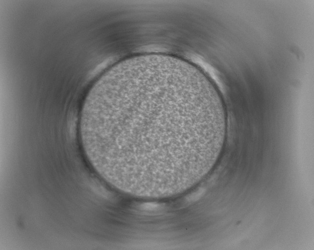 X0000115040153200911231140