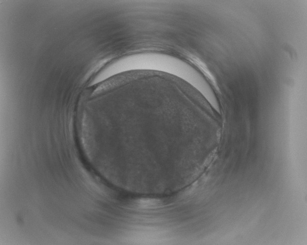 X0000115040154200911231140