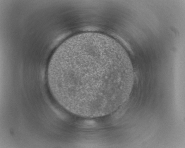 X0000115040159200911231140