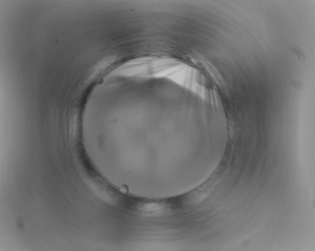 X0000115040163200911231140