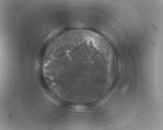 X0000115040165200911231140