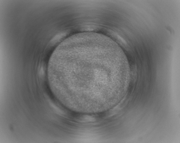 X0000115040166200911231140