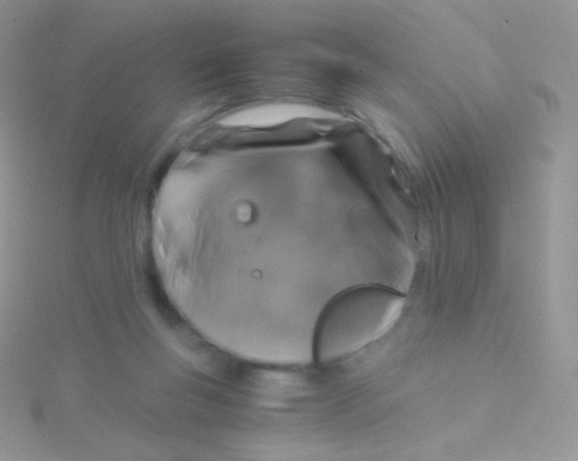 X0000115040167200911231140