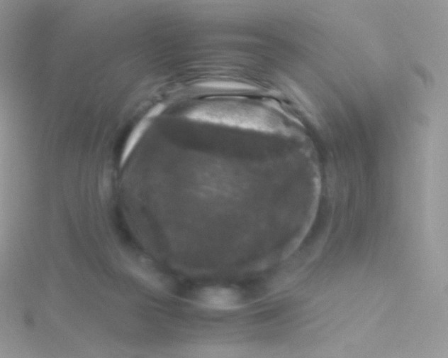 X0000115040169200911231140