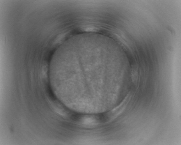 X0000115040175200911231140