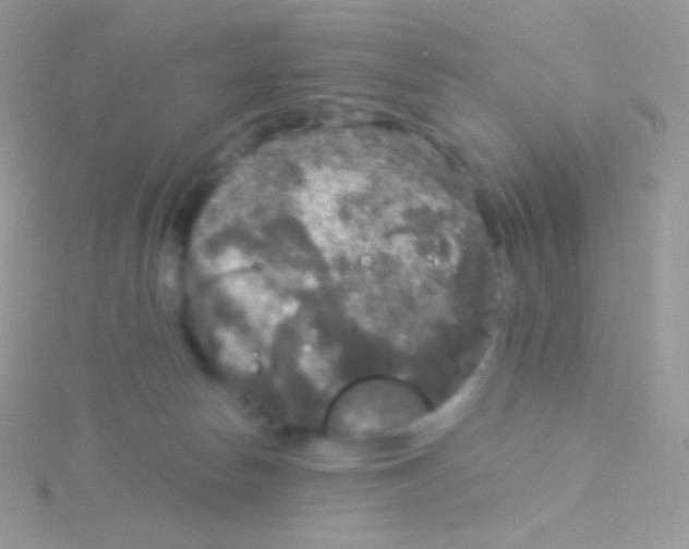 X0000115040178200911231140