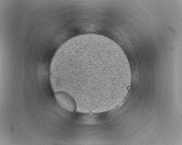 X0000115040179200911231140