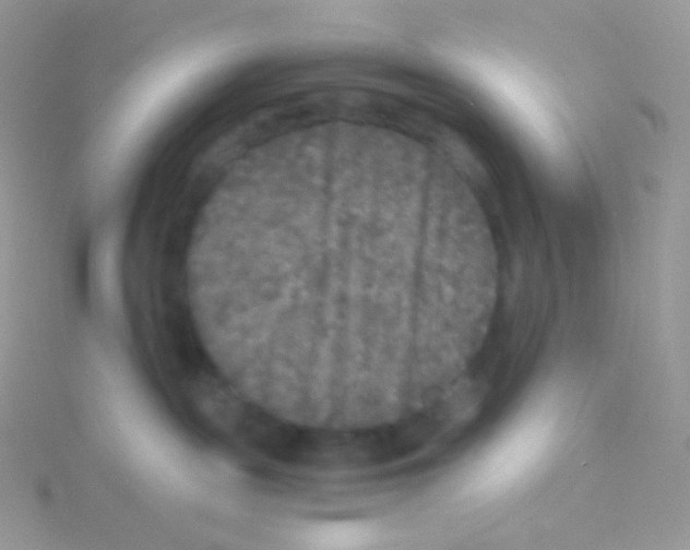 X0000115040189200911231140