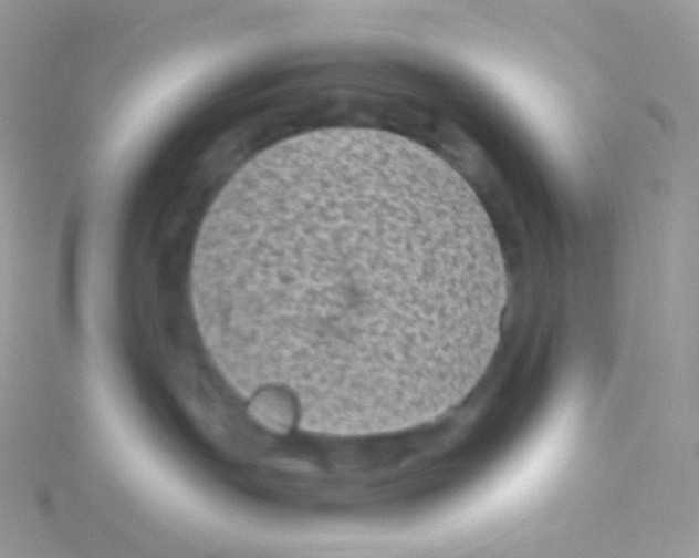 X0000115040191200911231140