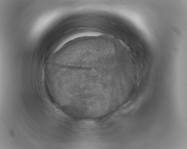 X0000115040194200911231139