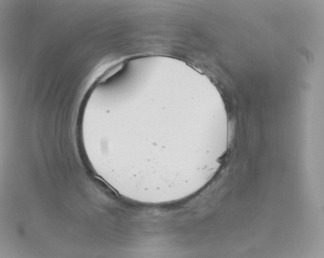 X0000115040195200911231139