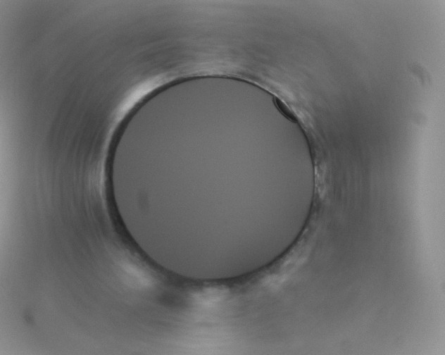 X0000115040196200911231139