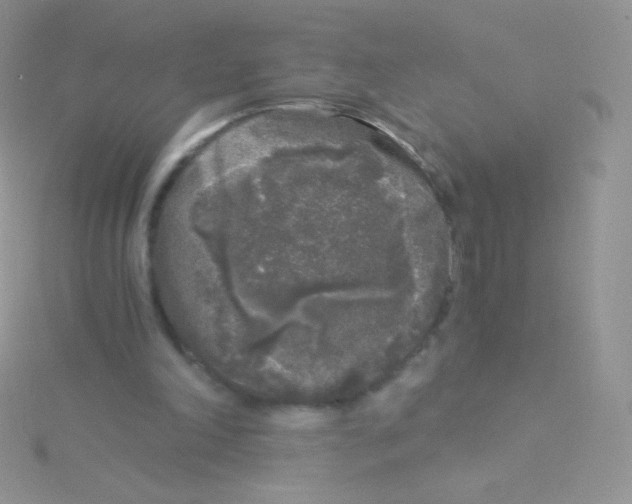 X0000115040198200911231139