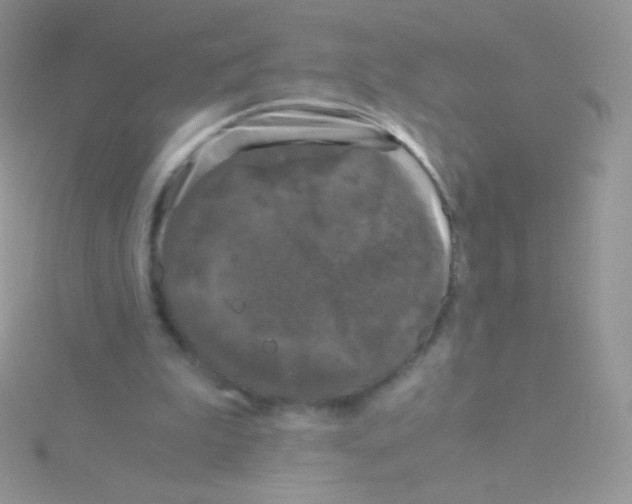 X0000115040199200911231139