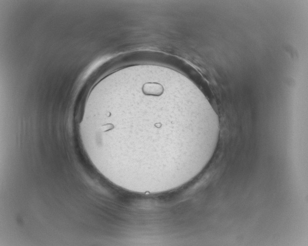 X0000115040200200911231139