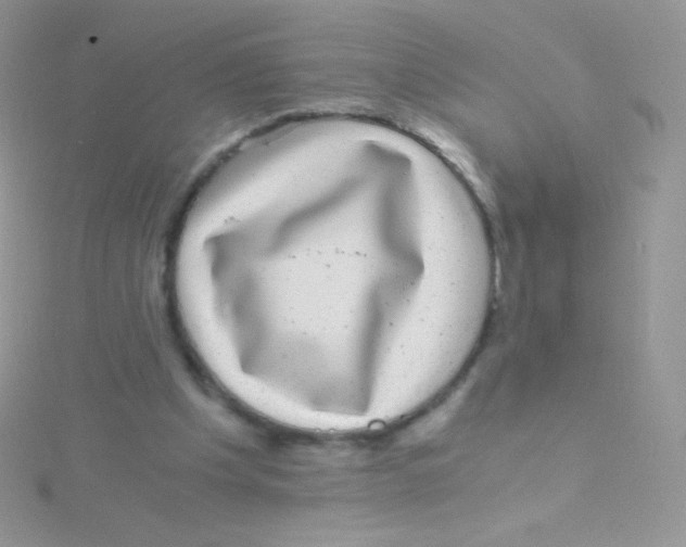 X0000115040201200911231139