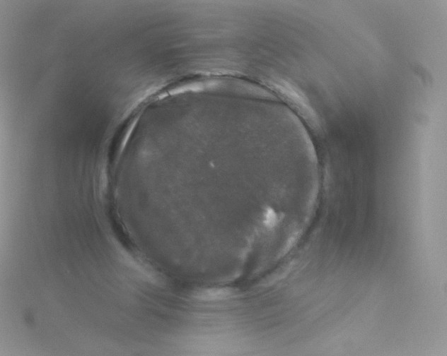 X0000115040202200911231139