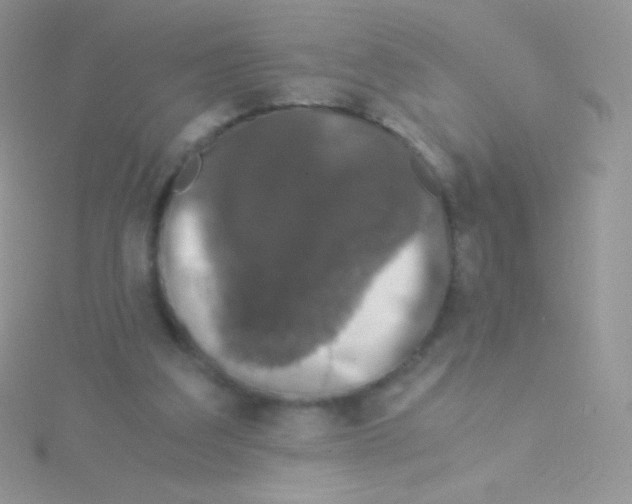 X0000115040203200911231139