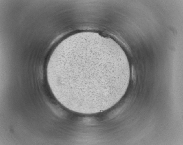 X0000115040204200911231139