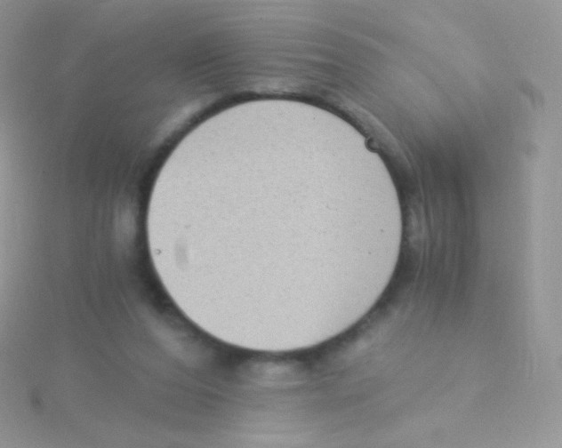 X0000115040208200911231139