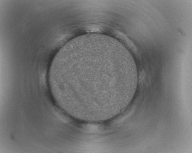 X0000115040209200911231139