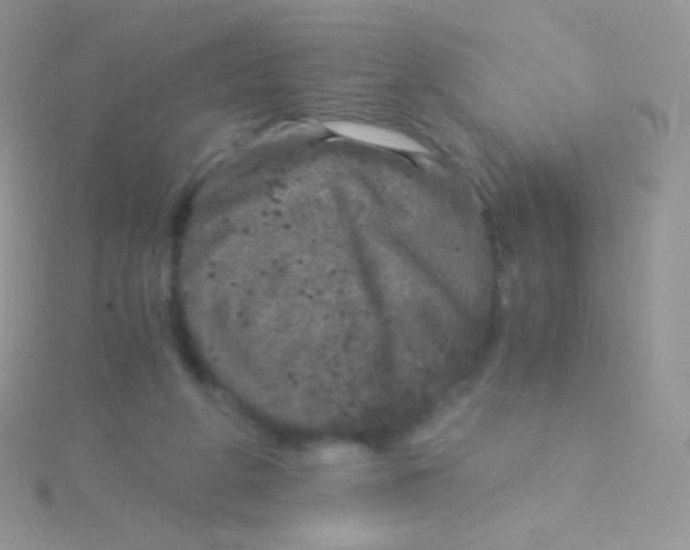 X0000115040210200911231139