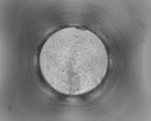 X0000115040211200911231139