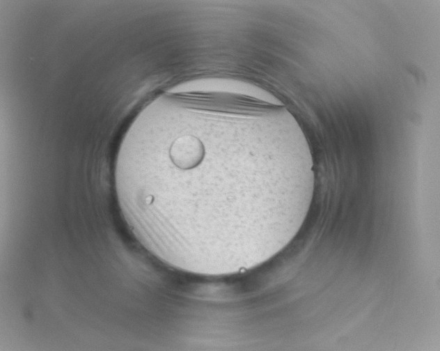 X0000115040212200911231139