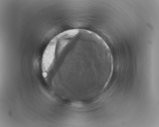 X0000115040214200911231139