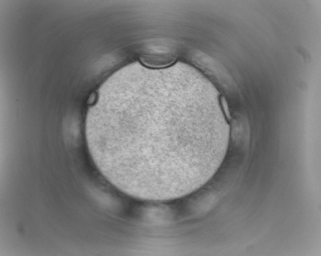 X0000115040215200911231139