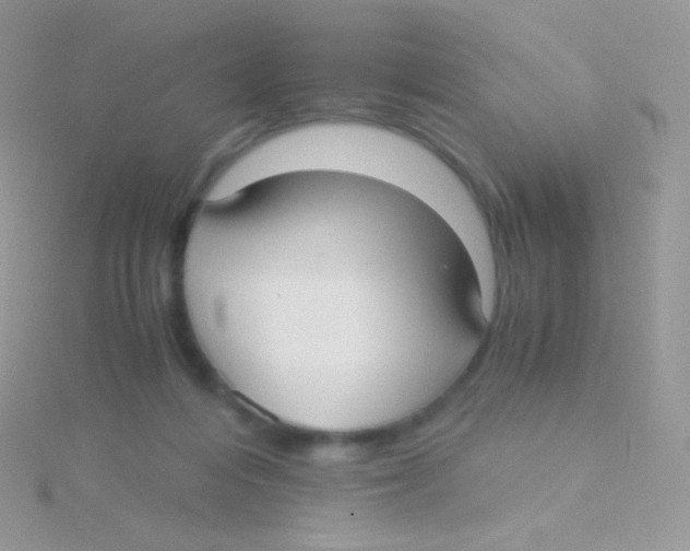 X0000115040216200911231139