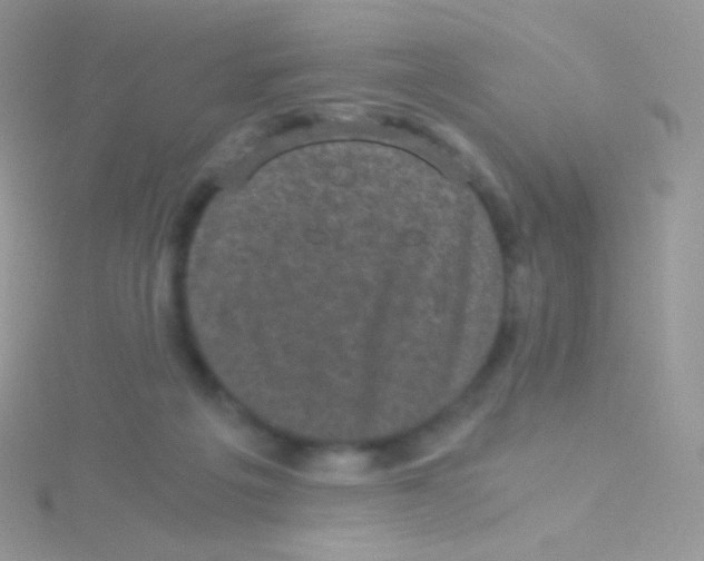 X0000115040217200911231139