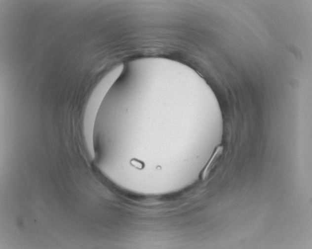 X0000115040219200911231139