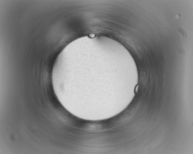 X0000115040220200911231139