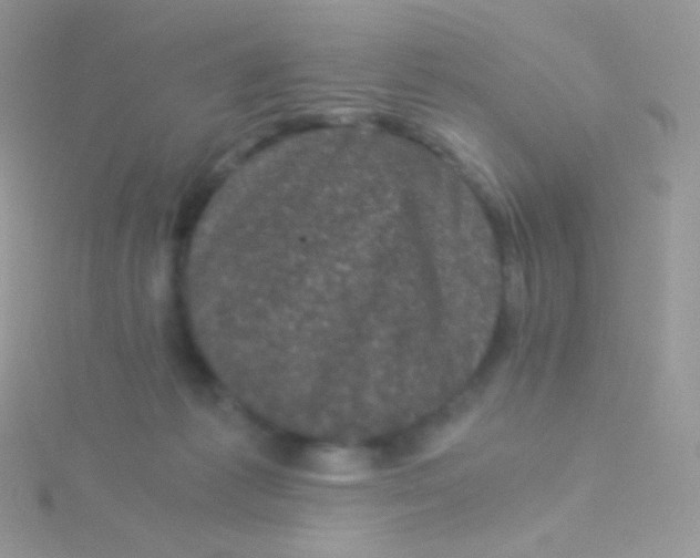 X0000115040221200911231139