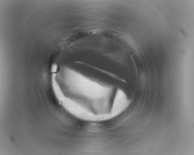 X0000115040222200911231139