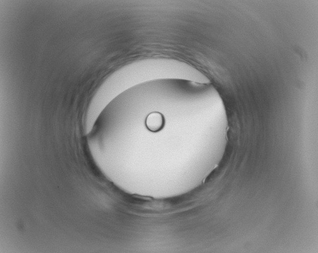 X0000115040225200911231139