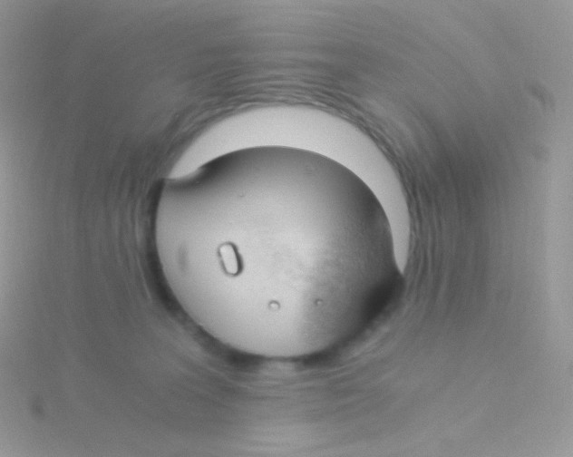 X0000115040227200911231139