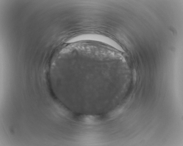 X0000115040229200911231139