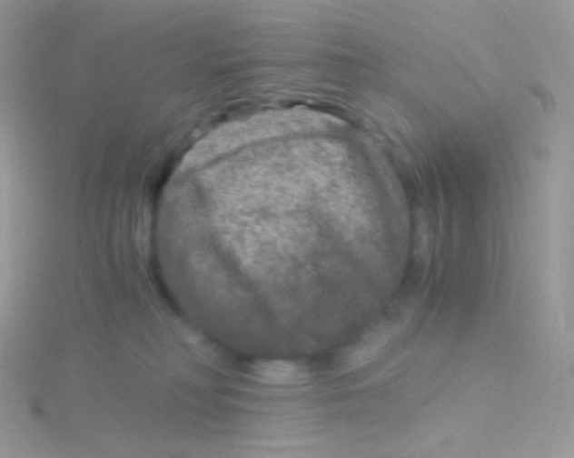 X0000115040230200911231139